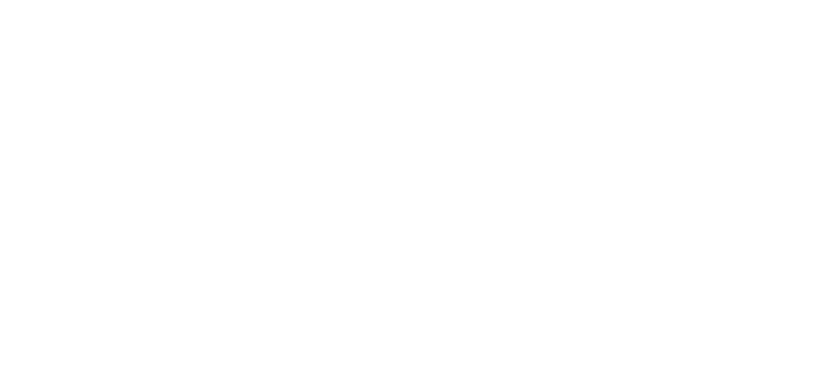 Bienvisport-logo